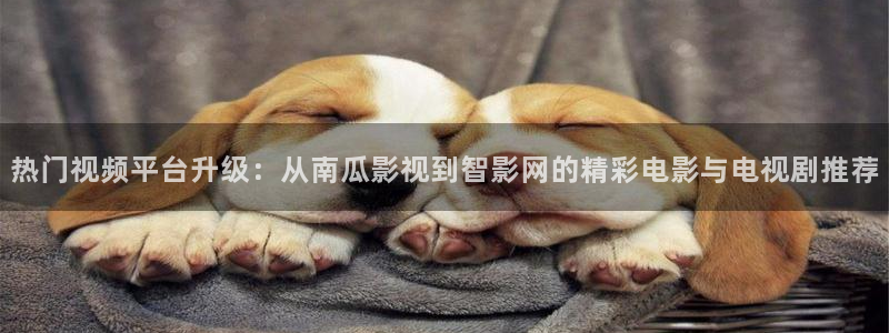 奇米在线播放