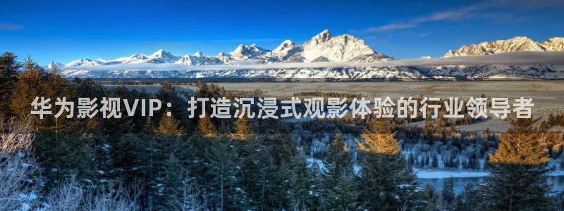 奇米在线播放