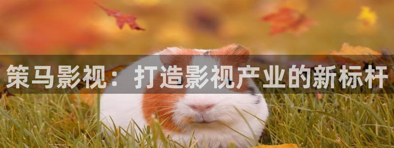 奇米在线精品