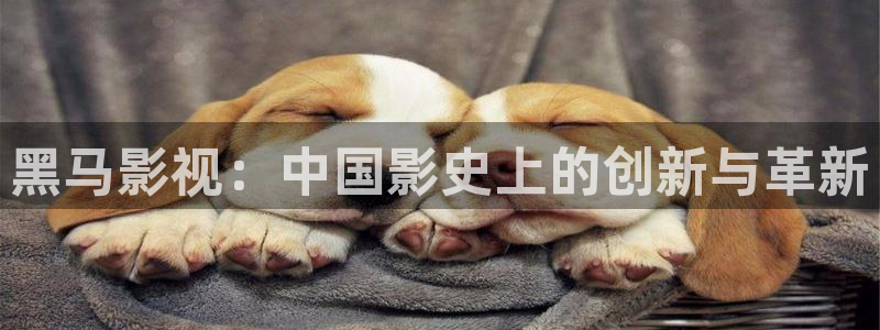 奇米在线视频444