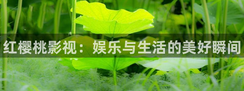 奇米奇米在线视频