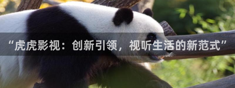 奇米在线视频免费