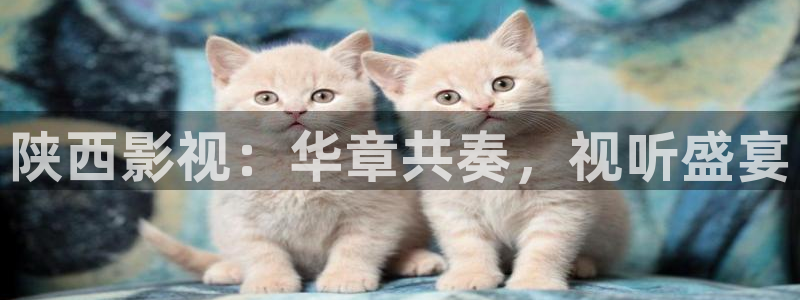 奇米在线观看视频地址一