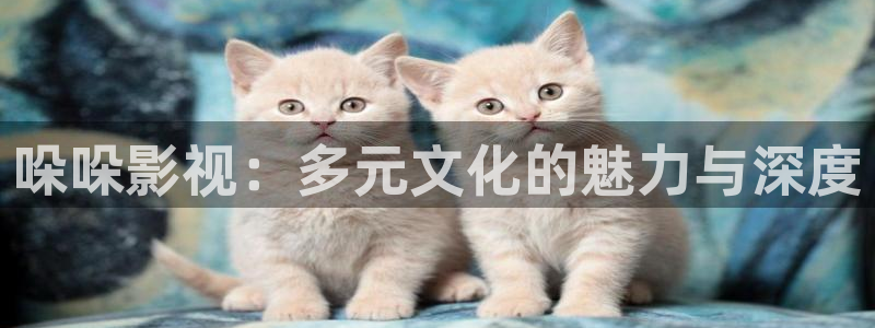 第四色奇米在线观看