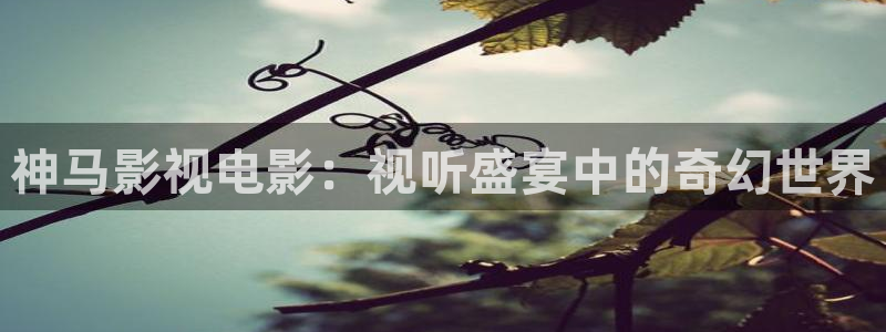 奇米在线视频精品一区