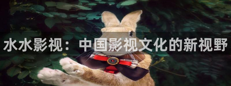 奇米在线视频免费播放